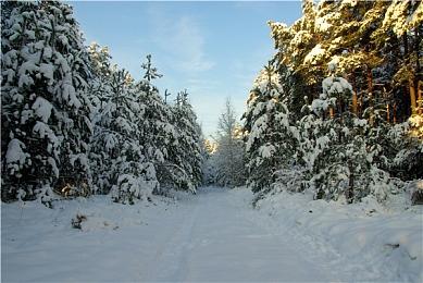 Atelier KAGUYA制作《LOVEJUICED! -感受来自邻家满满的爱意-》官中现已开放！