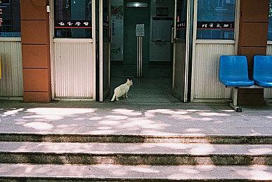 《辐射4：新维加斯》MOD新图 展示重制场景与UI