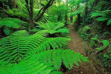 《英雄联盟》绝息圣堂系列皮肤预览，LOL13.5新皮肤有哪些？